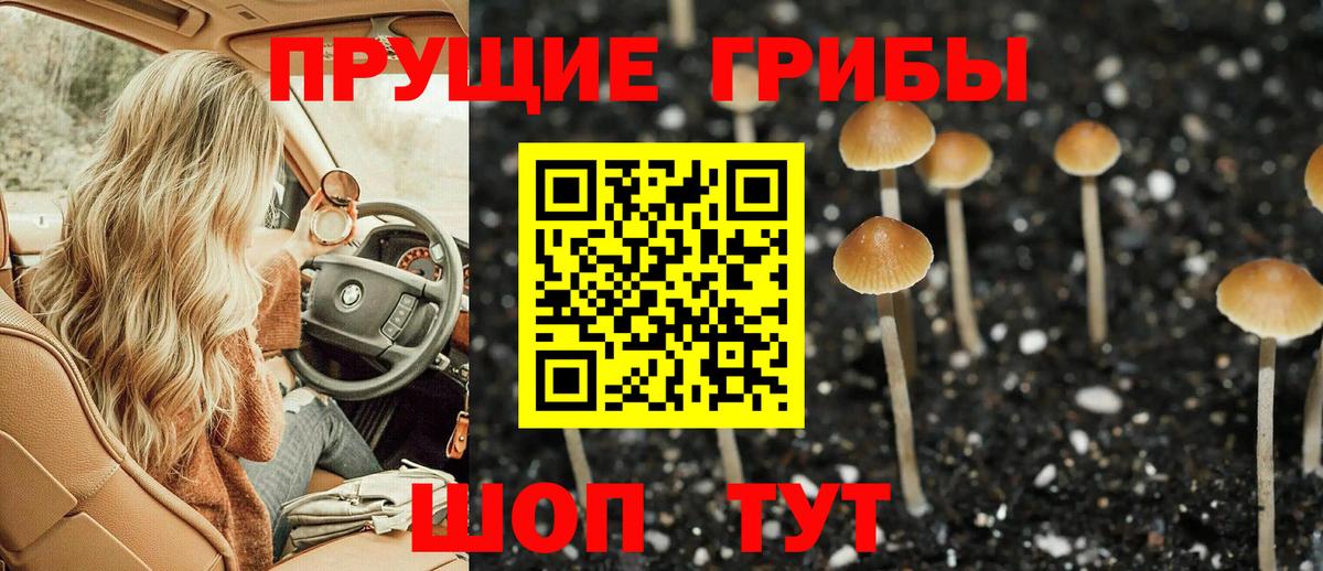 Дзержинск  Псилоцибиновые грибы ЛСД  Вход с VPN 