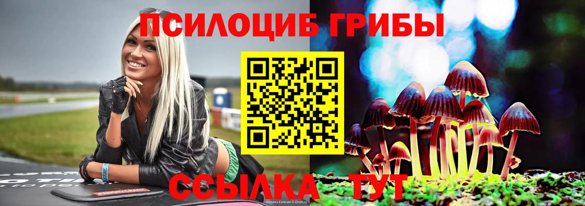 Псилоцибиновые грибы мухоморы Дзержинск